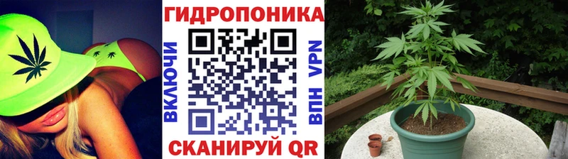 Виды наркоты Чегем Гашиш  Амфетамин  Меф мяу мяу  СОЛЬ  Марихуана  ЭКСТАЗИ  Cocaine 