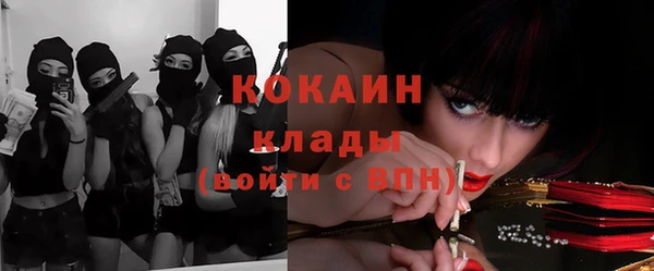 твердый Михайловка