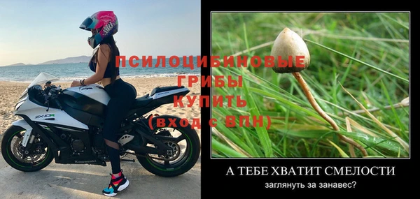 твердый Михайловка
