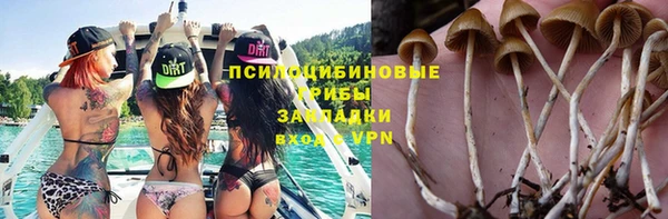 твердый Михайловка