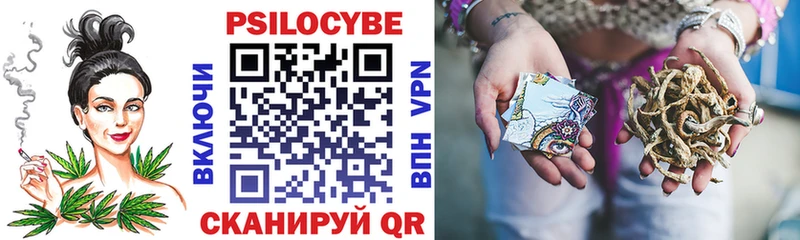 Псилоцибиновые грибы ЛСД  Чегем 